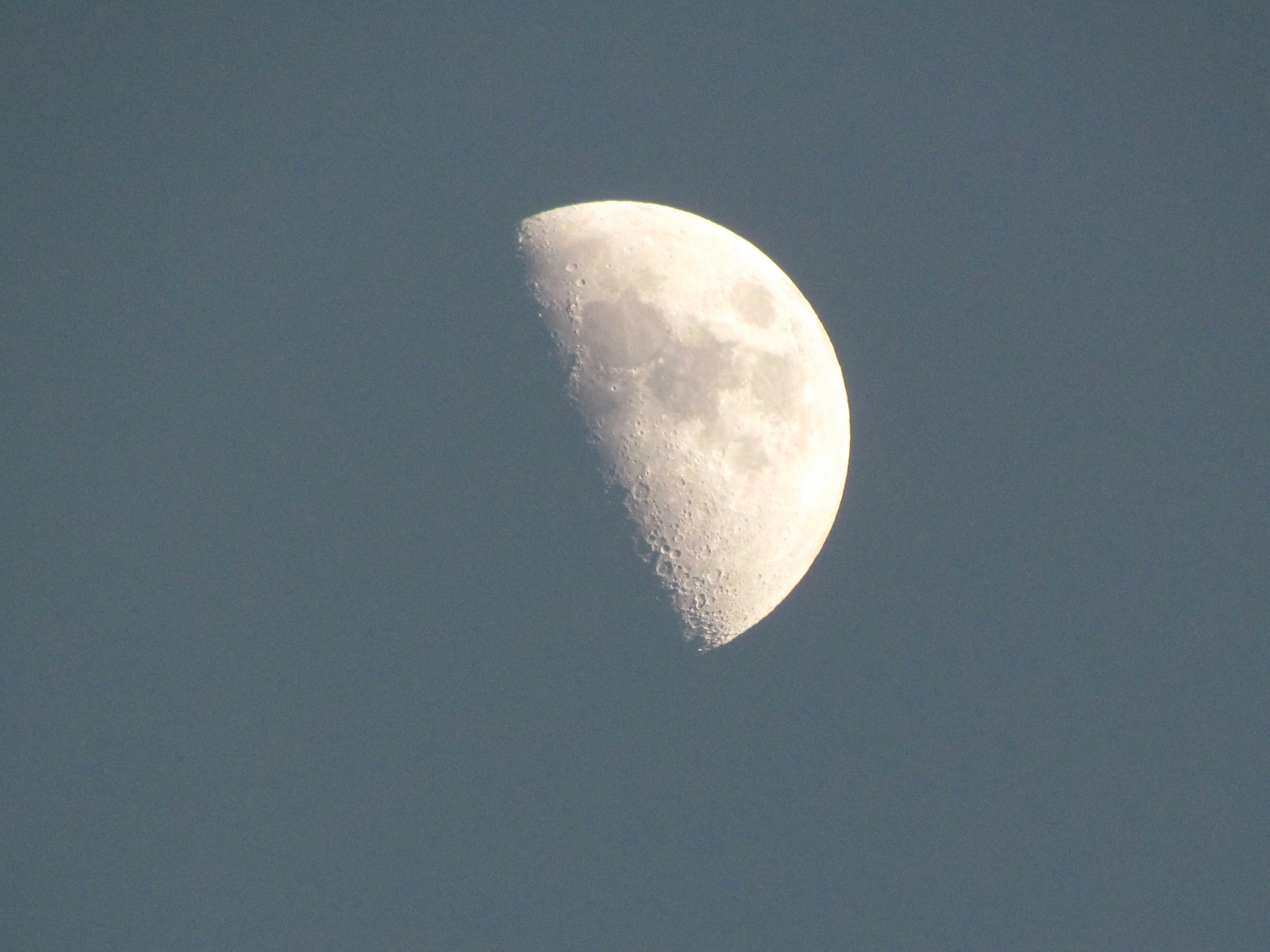 picture of the moon